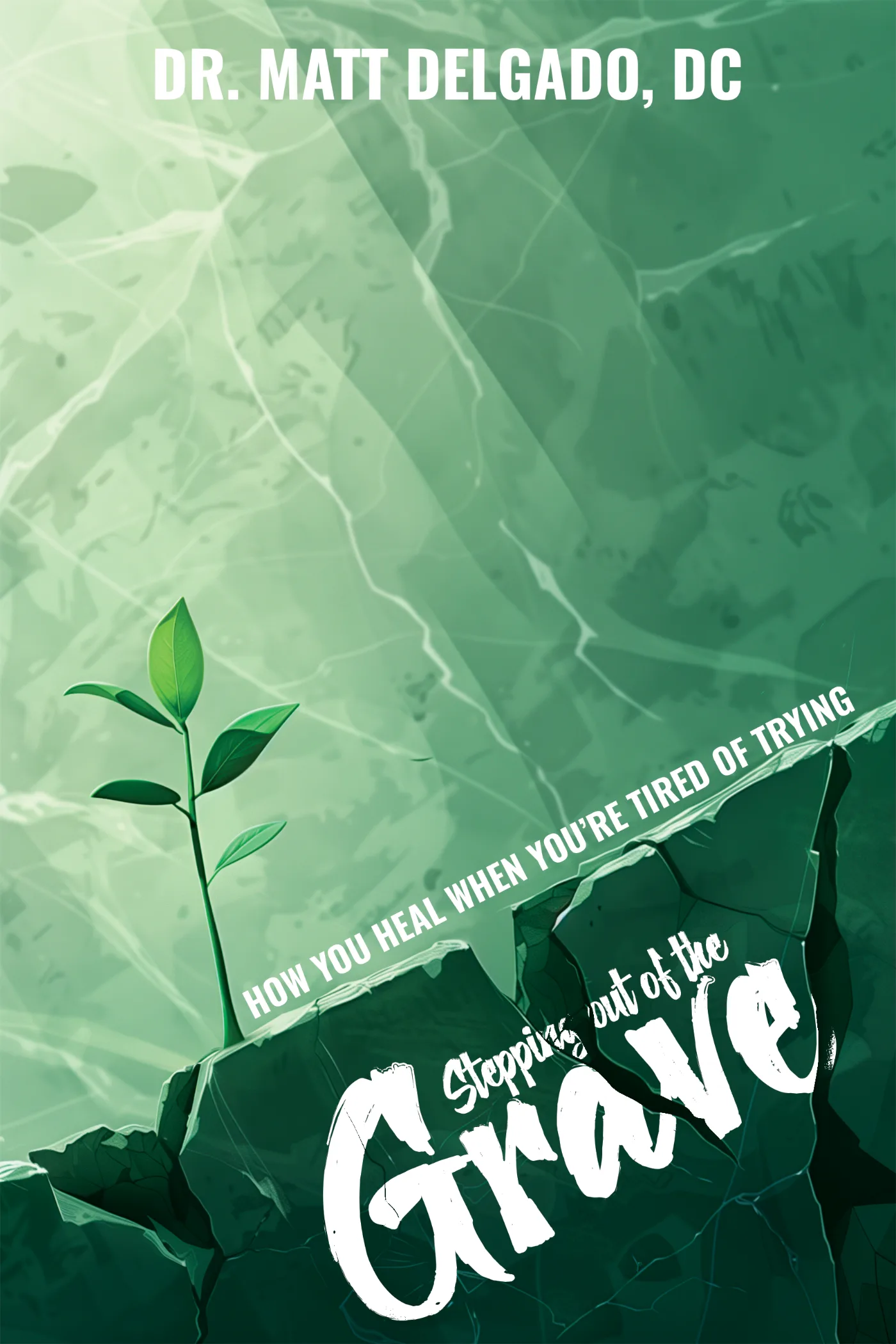 Book cover design sample for a self-published author